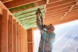 Best Eco-Friendly or Green Insulation Solutions  in Portland, TX